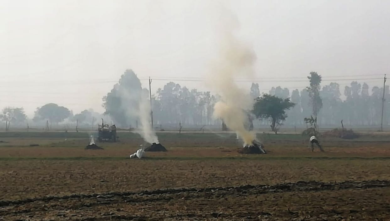 parali