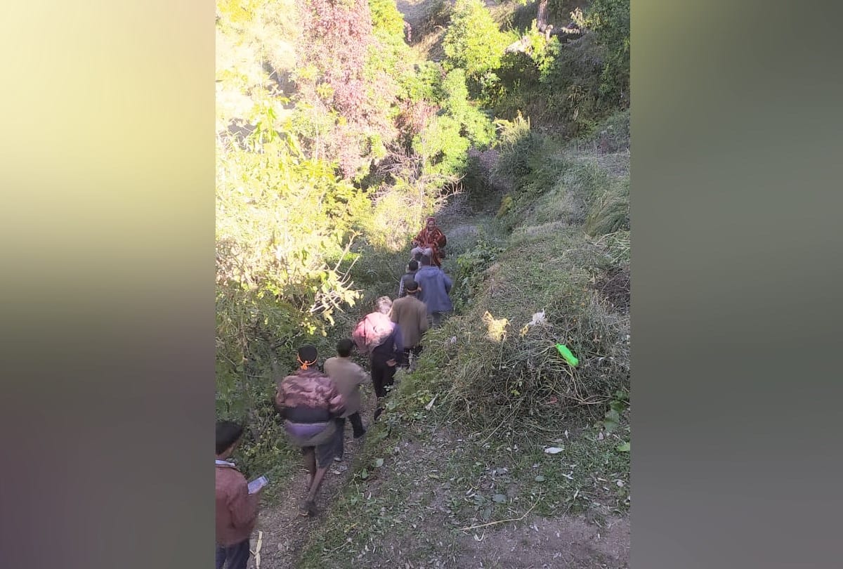 Two injured in bear attacks in Kullu Himachal Pradesh