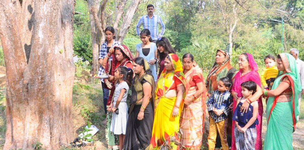 The worship of Akshaya Navami, the effect of modernity