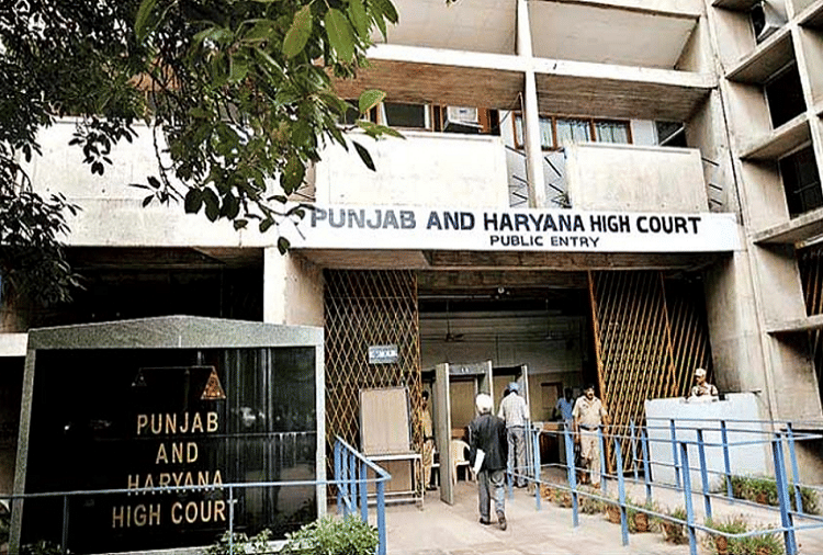 HighCourt directs Punjab Haryana to submit report of pending cases within 6 weeks