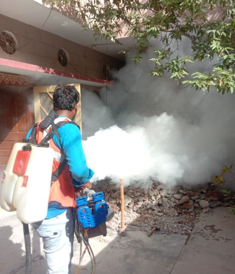 Dengue Sting: 228 Male Aedes Mosquito Victims Against 136 Females