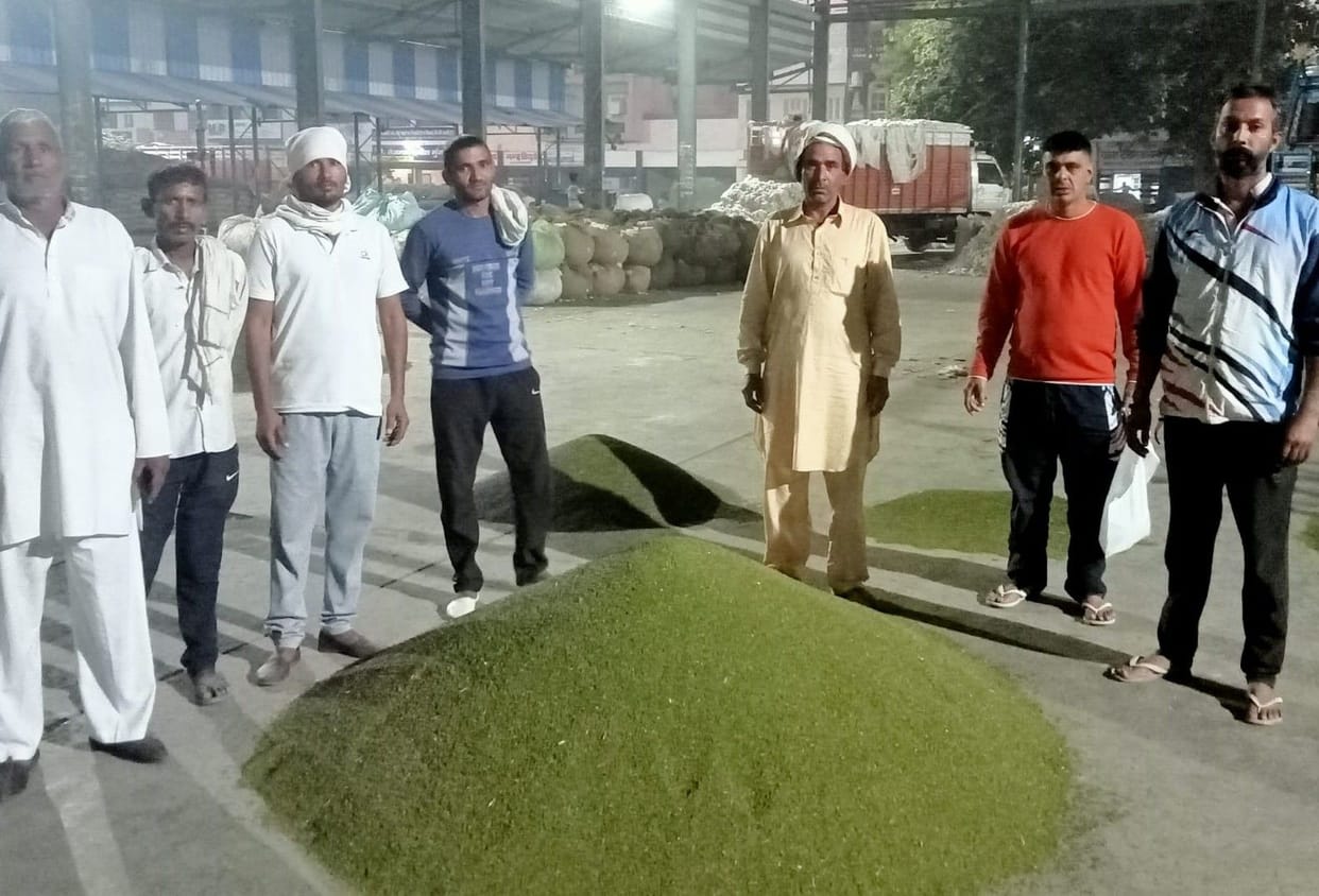 Even after passing in Bhiwani grain market, moong was not bought from farmers