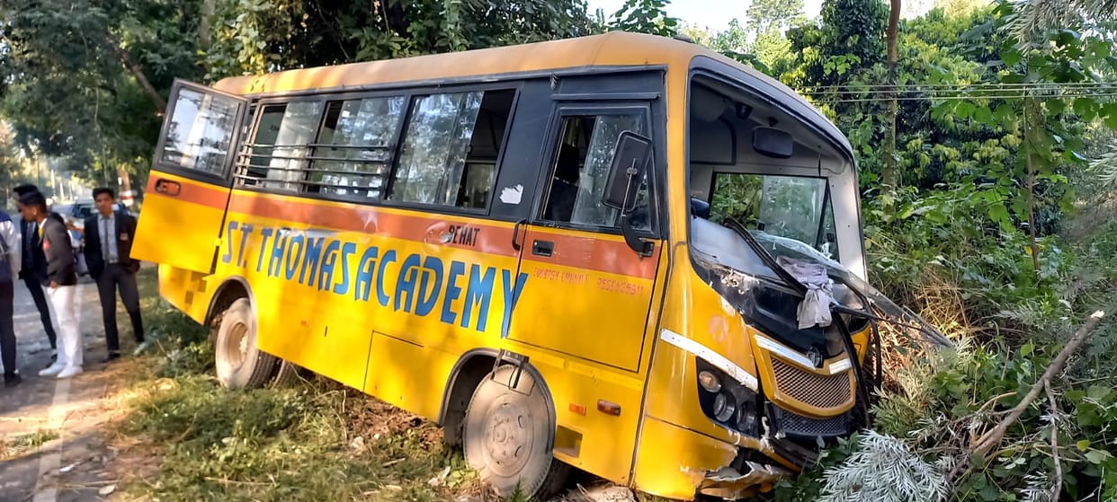 School bus collided with a tree standing on the side of the road