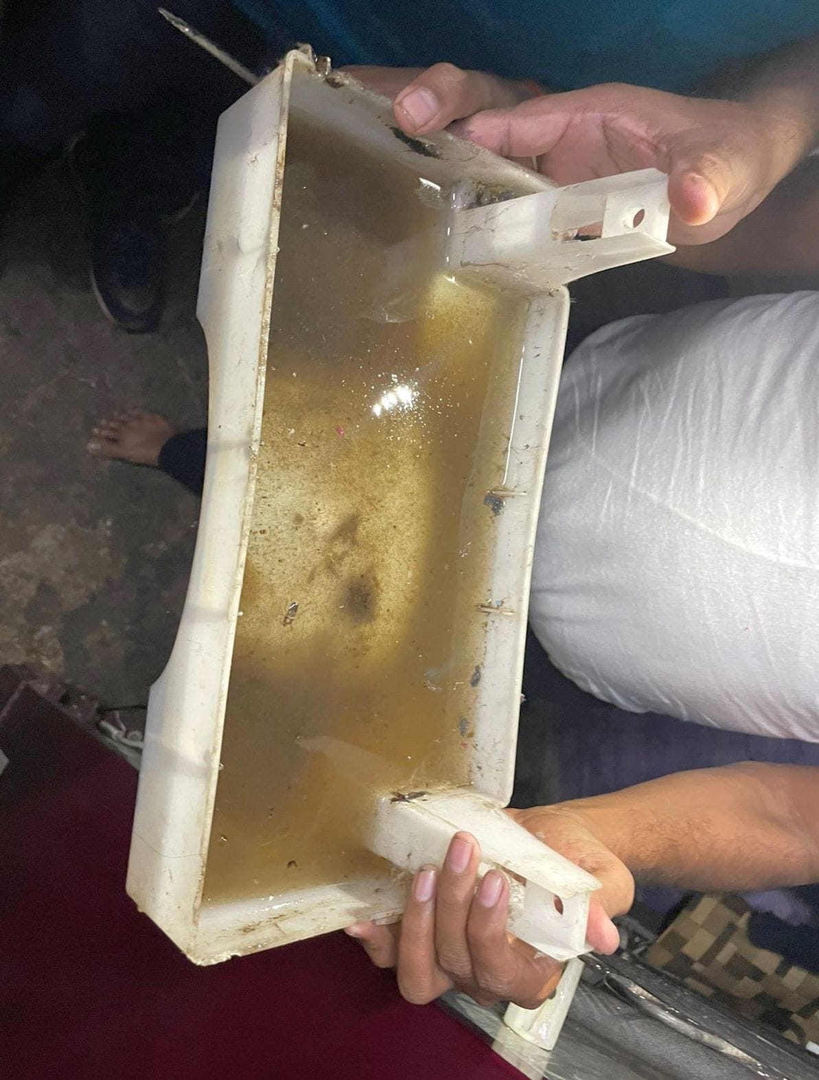 dengu larwa found in 15 houses