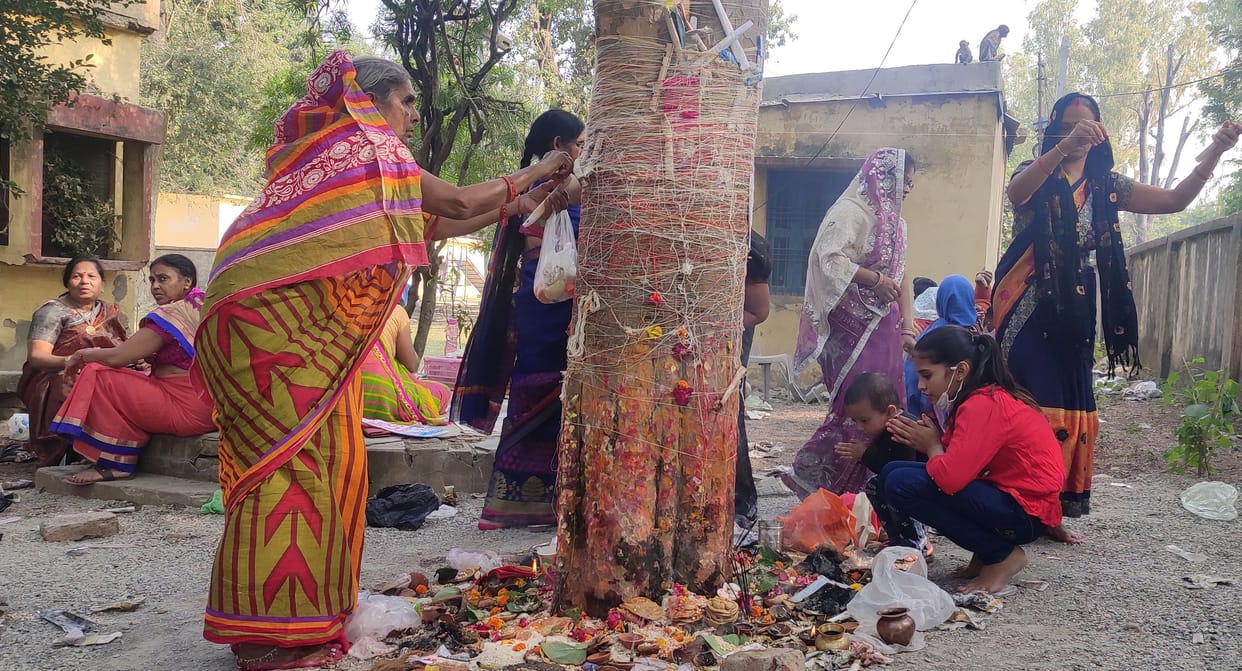 Ichha Navami celebrated under Amla tree