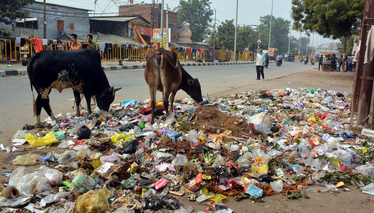 Garbage heaps in the garbage free City