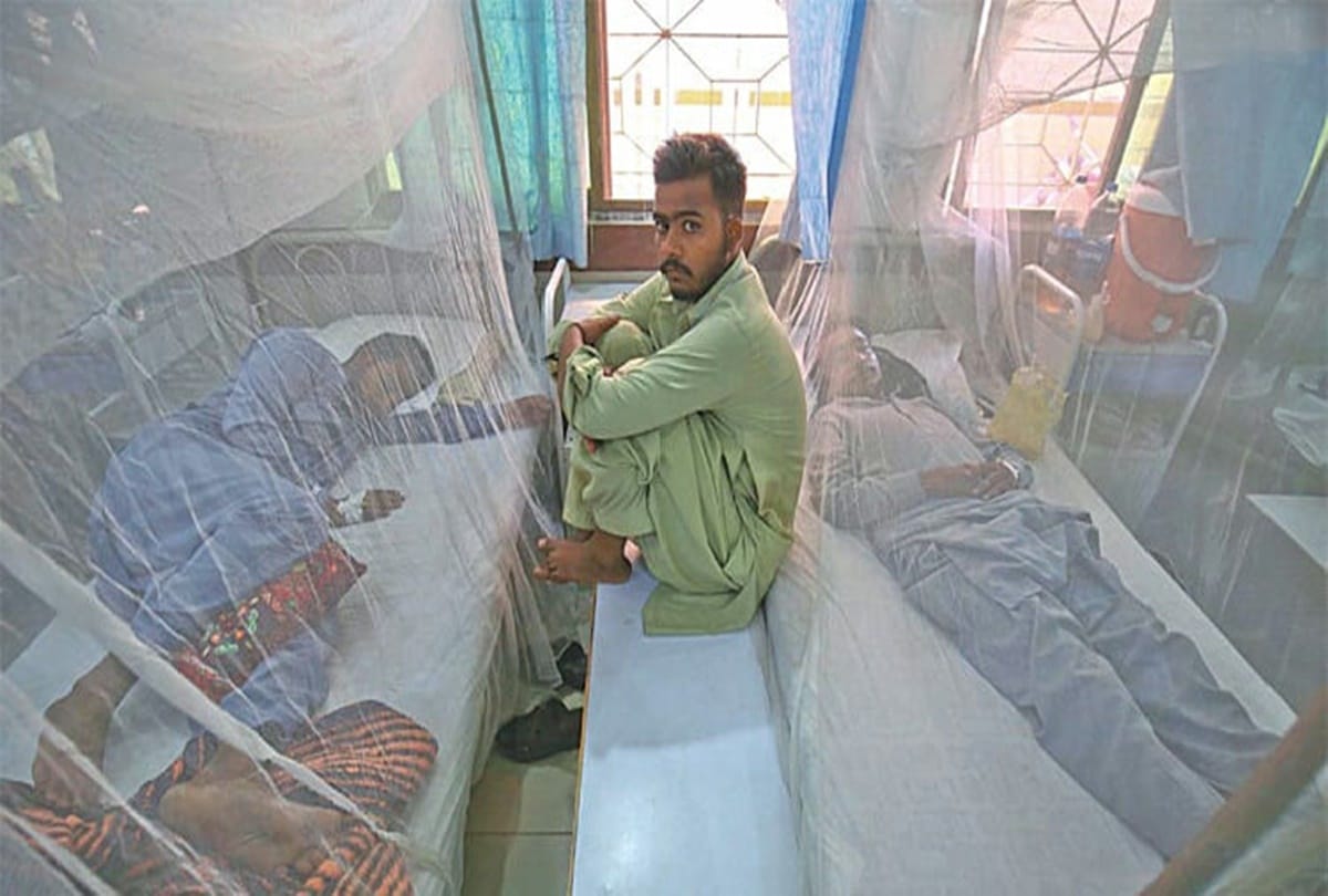 Mysterious Viral Fever reported from Pakistan Karachi infected show symptoms of Dengue but test reports negative know what experts say news and updates