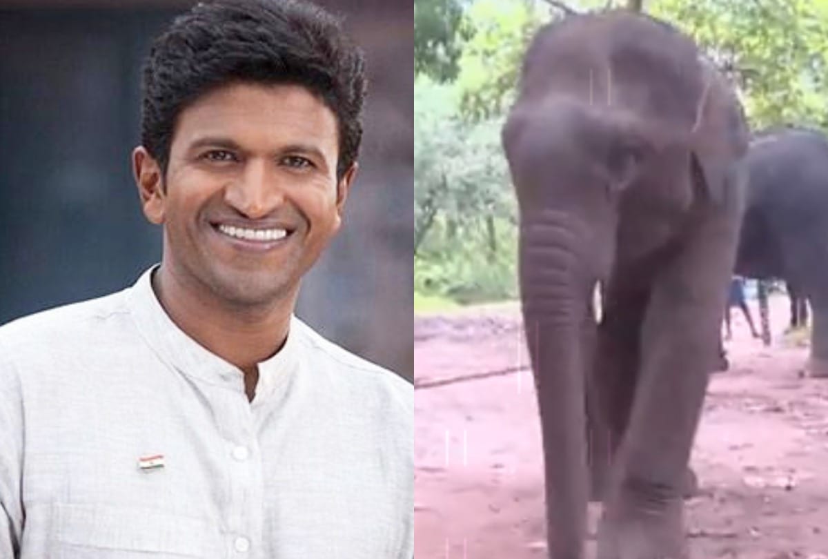 Karnataka forest Department given elephant baby name of late actor puneeth rajkumar
