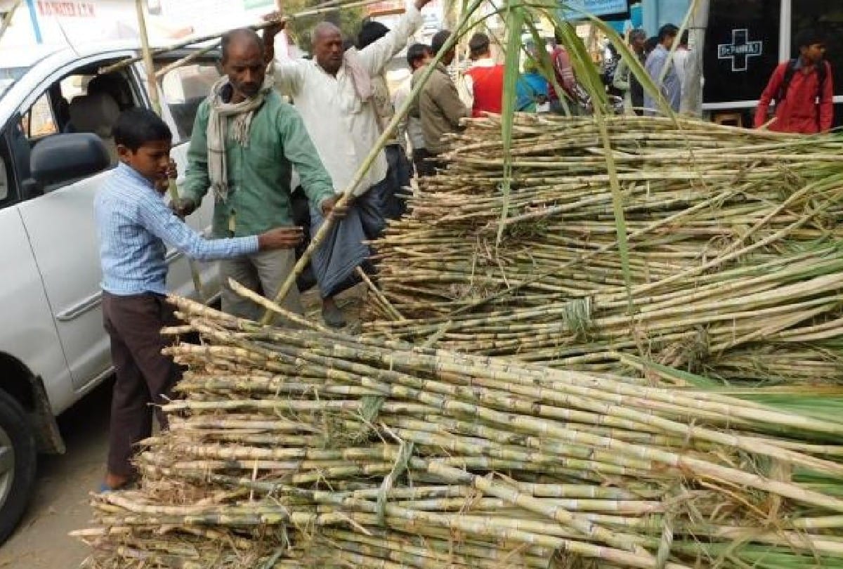 Center hikes FRP by Rs 15, now UP's turn, Rs 350 is currently being paid