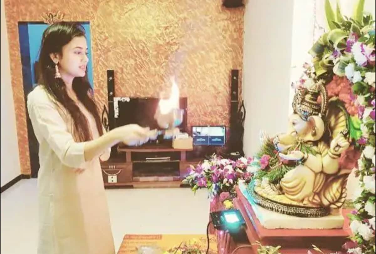 bigg boss 15 winner tejasswi prakash net wotrh lifestyle carriar