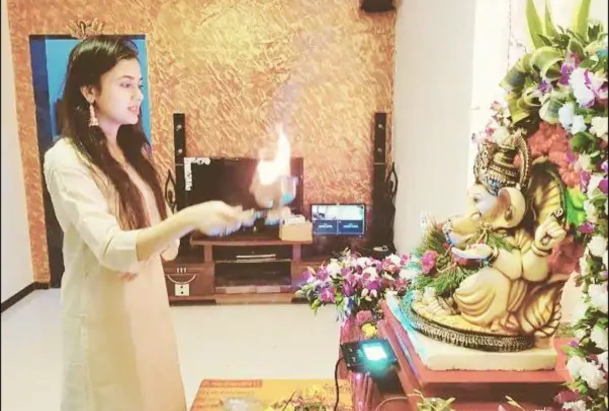 bigg boss 15 winner tejasswi prakash net wotrh lifestyle carriar