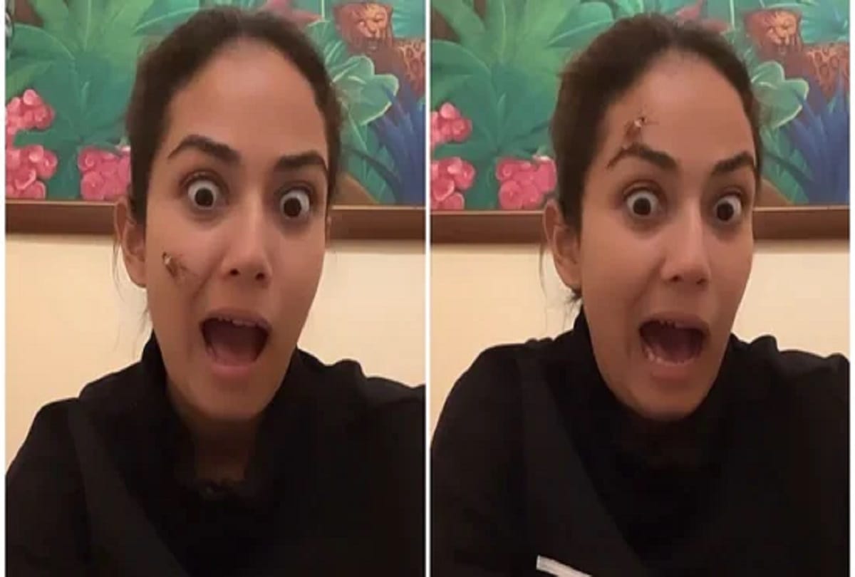 Mira Rajput makes insects crawl on her face in new video but Zain is not amused