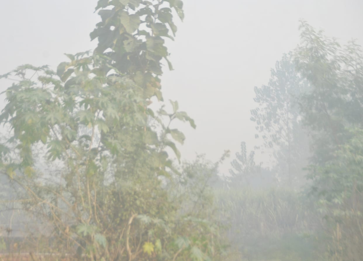 Breathing crisis: AQI consistently crosses 350