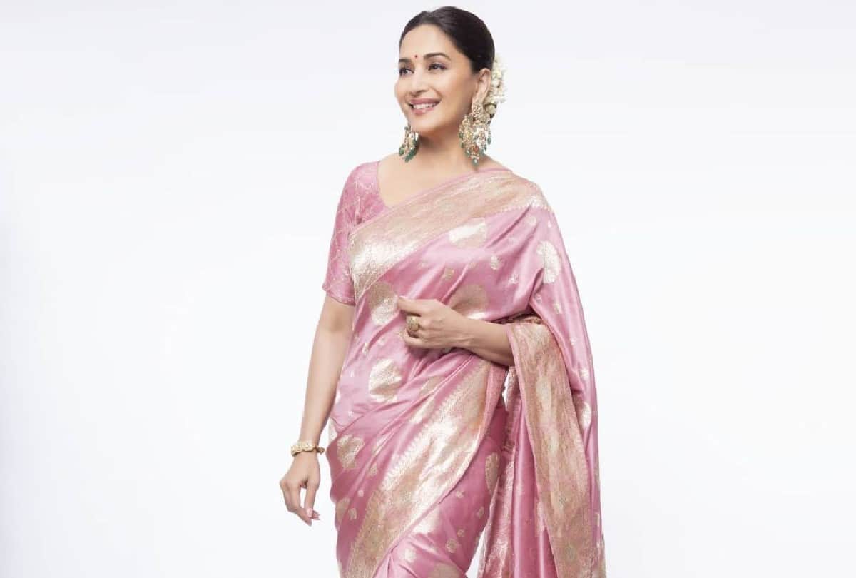 Madhuri Dixit Pink Silk saree photos and price