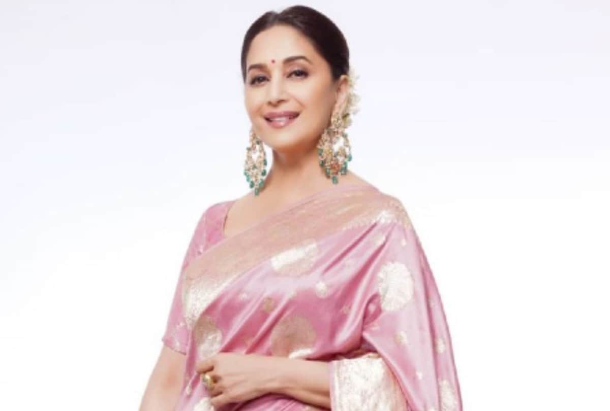 Madhuri Dixit Pink Silk saree photos and price