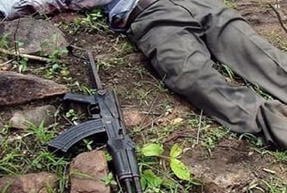 Maharashtra Dalam commander among three Naxalites killed in encounter with police in Gadchiroli Updates