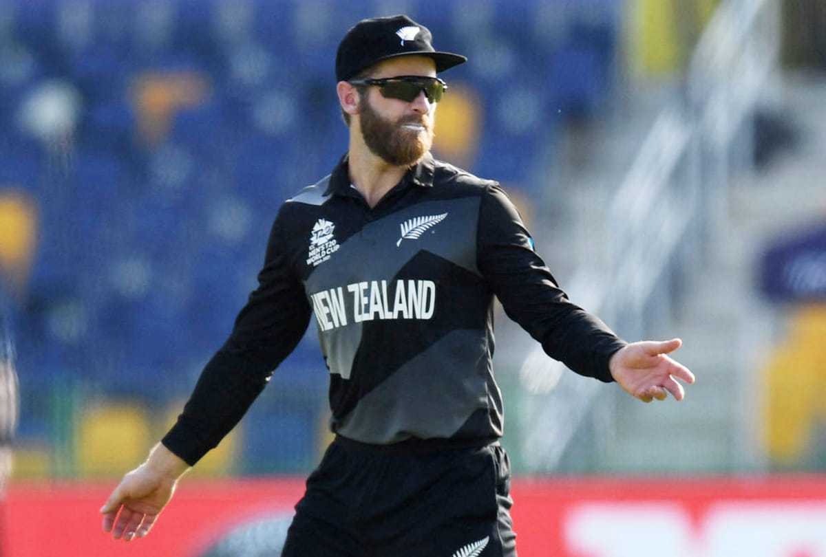 World will get new champion today: ICC T20 World Cup final; Williamson's team has a chance to win second ICC trophy within five months