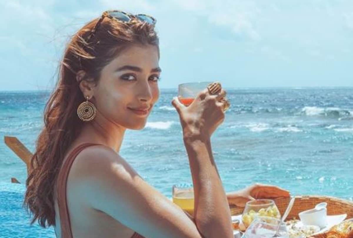 rajkumar rao and Patralekha marriage vikram gokhale supported kangana ranaut and alia bhatt film Gangubai Kathiawadi new release date top 10 entertainment