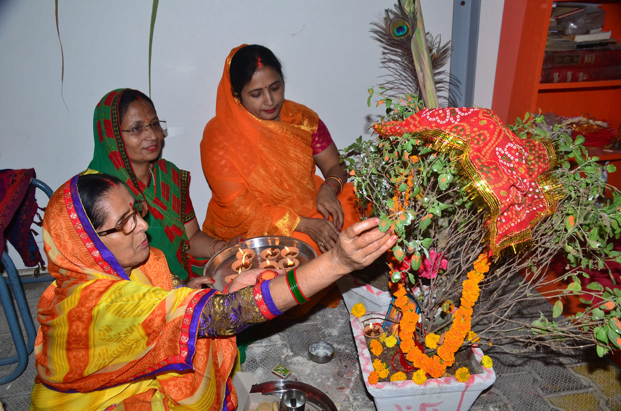 Pavilion decorated with sugarcane, Tulsi-Shaligram marriage took place