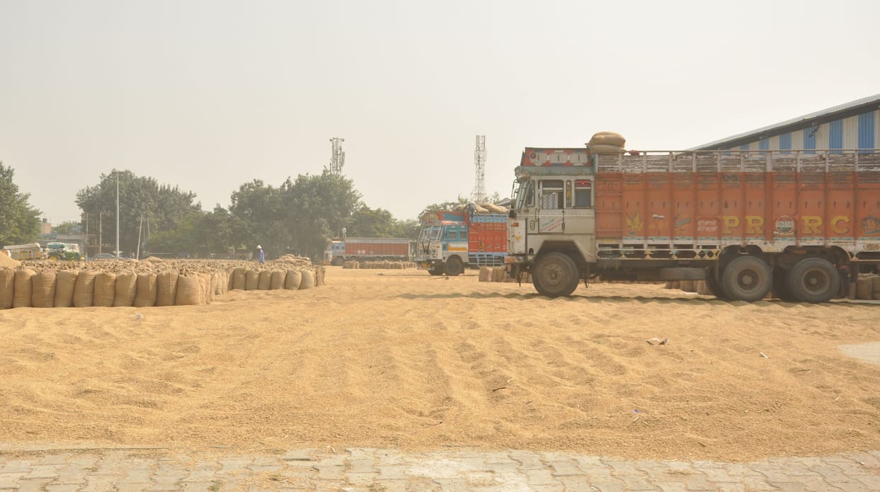 Basmati faces farmers