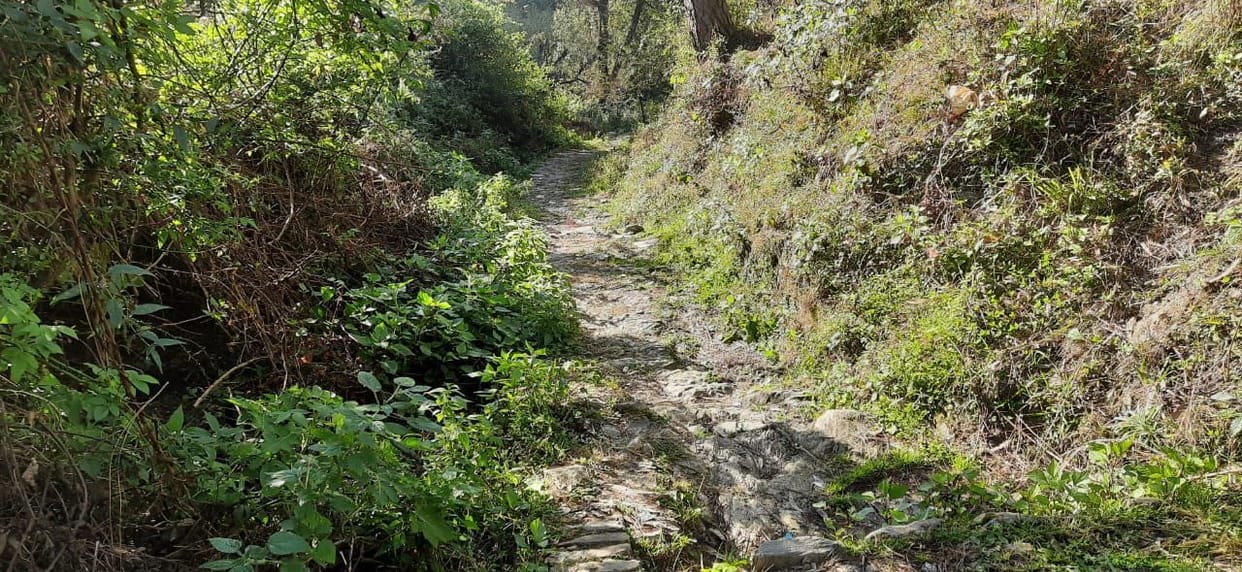 Bad Path in Rural Ranikhet