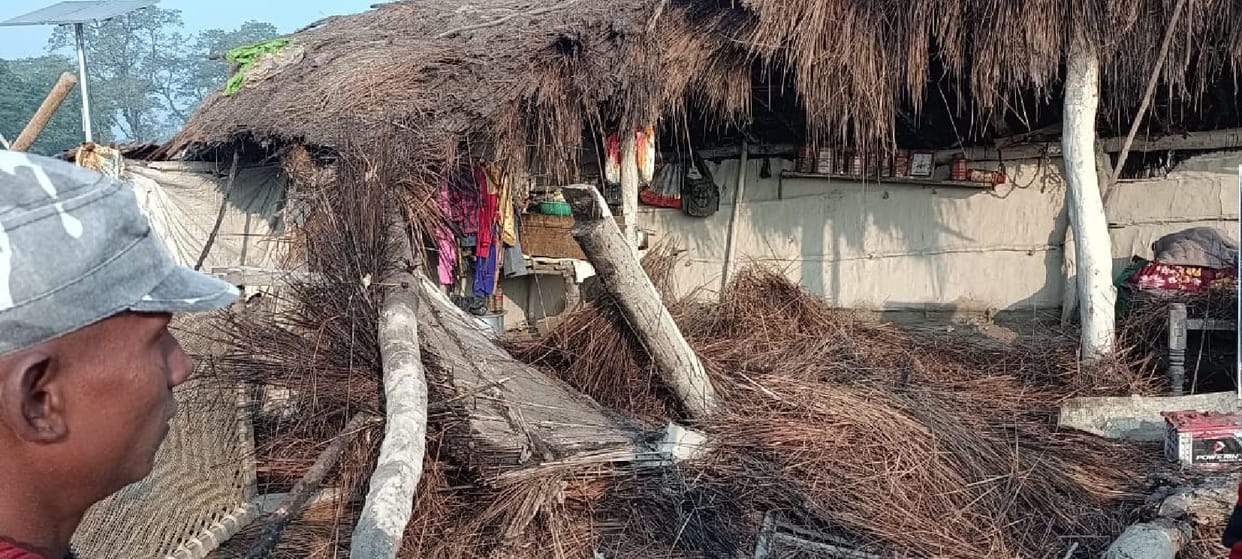 Elephants created ruckus, demolished three houses