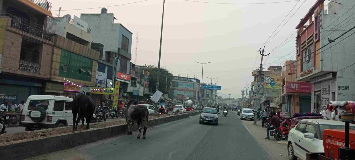 Mahendragarh was the coldest in the state