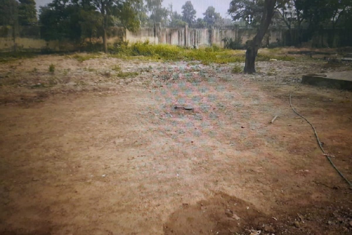 UP News: Illegal felling of trees in Kasturba Gandhi Residential Girls School in Baghpat