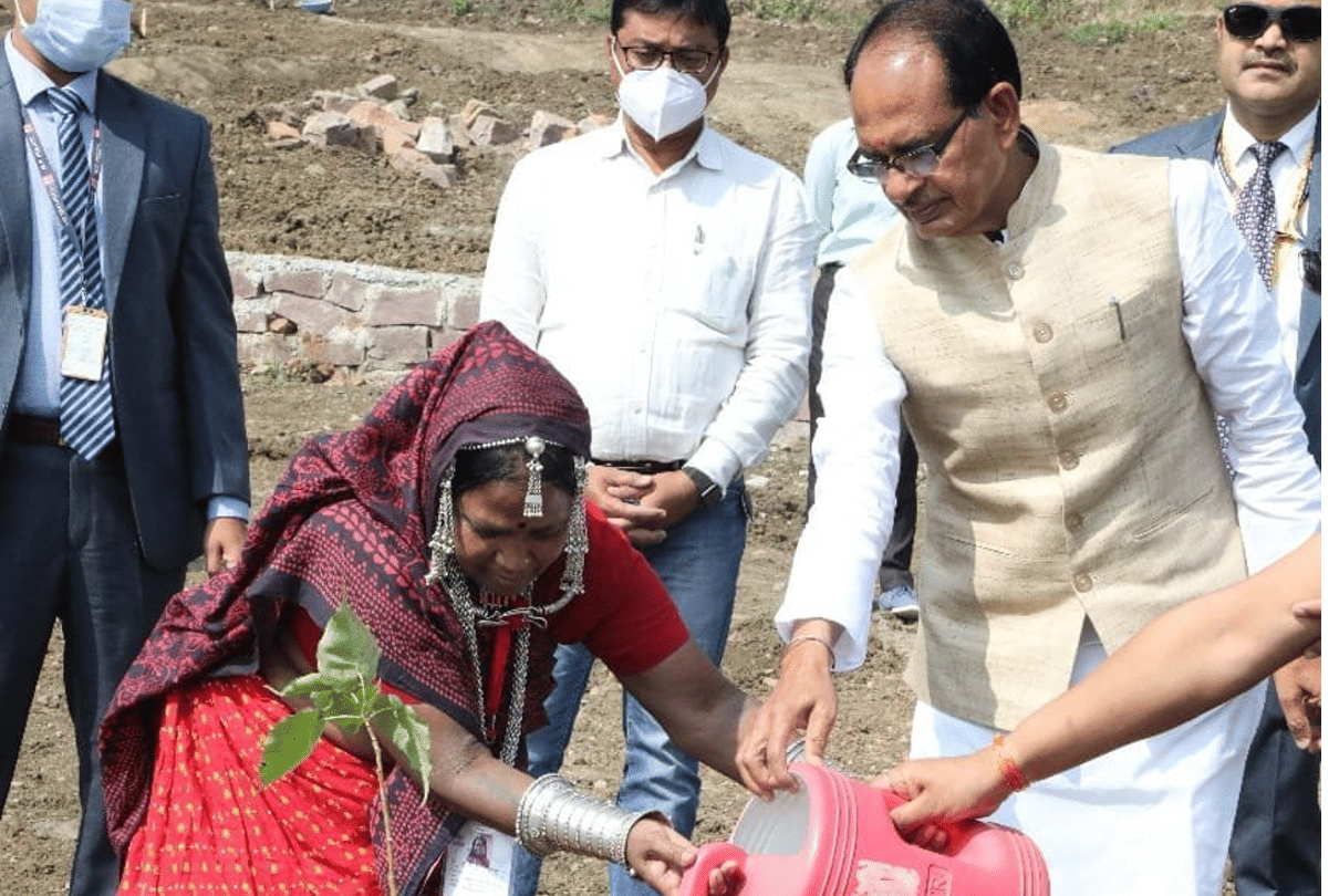 Janjatiya Gaurav Divas: Chief Minister planted a sapling of Peepal and Gulmohar along with Bhuri Bai