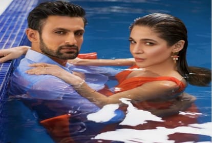 Ayesha Omar talks about sania mirza shoaib malik divorce rumours says I will never be attracted to married man