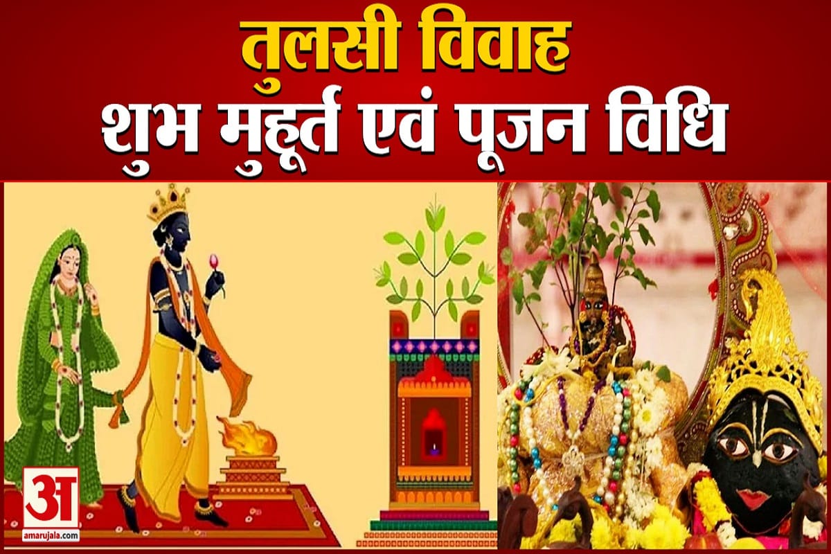 Tulsi Vivah 2022: Date of Devuthani Ekadashi and Tulsi marriage, auspicious time, when will marriages start?