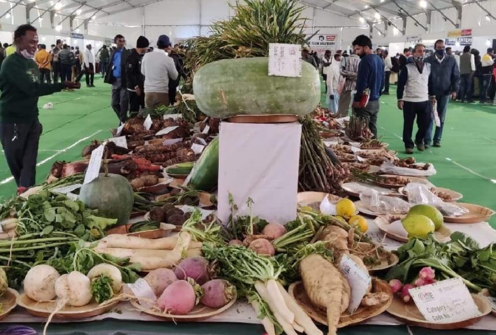 Uttarakhand News: For the First Time International Spices and Vegetable Festival will begin in Rishikesh from today