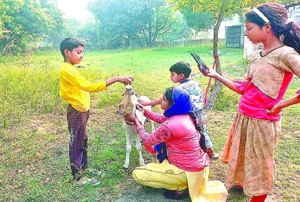 Nasir saves the lives of injured cow and calf in agra