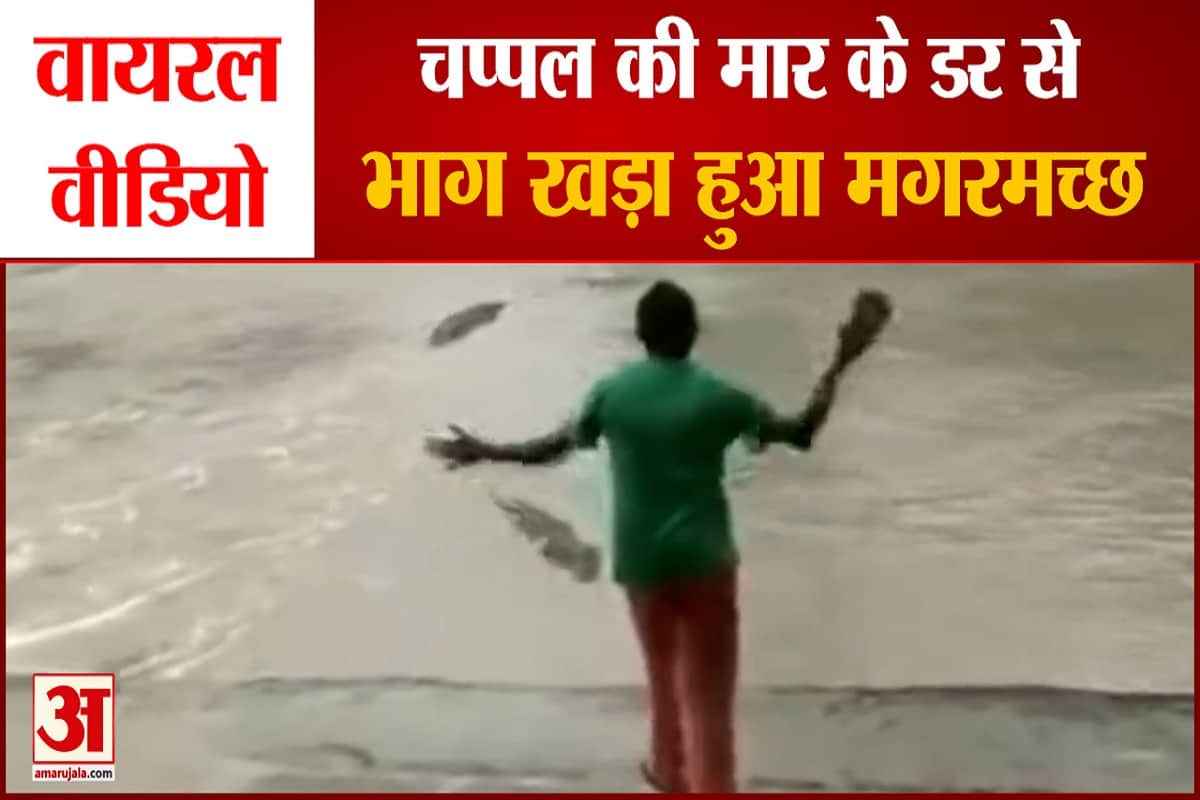 चप्पल देख भाग खड़ा हुआ मगरमच्छ