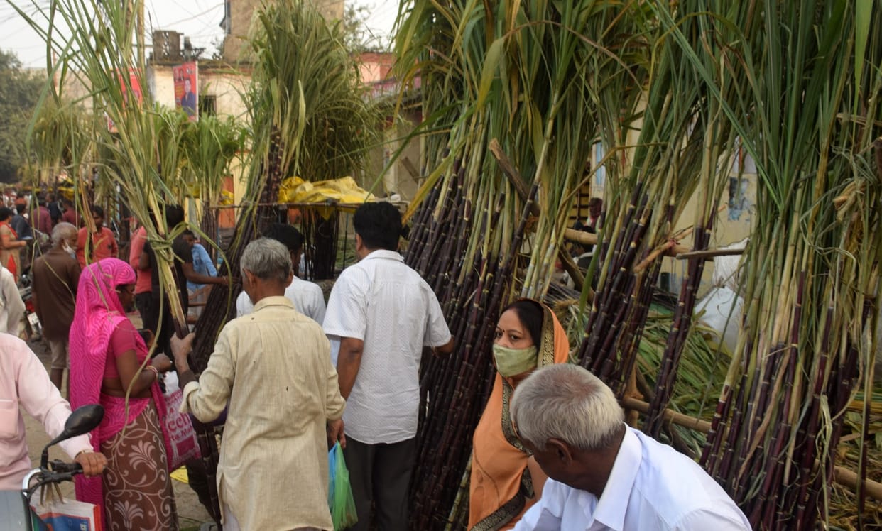 Tulsi marriage took place on Dev Prabodhini Ekadashi