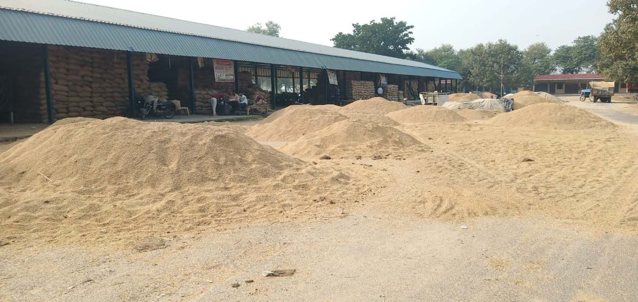 dhan center