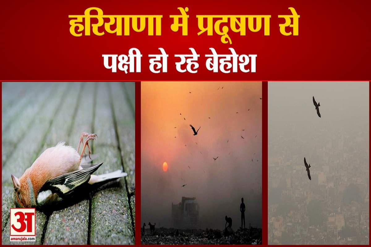 हरियाणा प्रदूषण