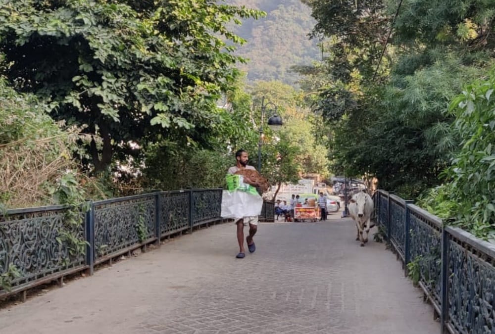 Uttarakhand News: Delhi Pollution decreased tourist Crowd in rishikesh Photos