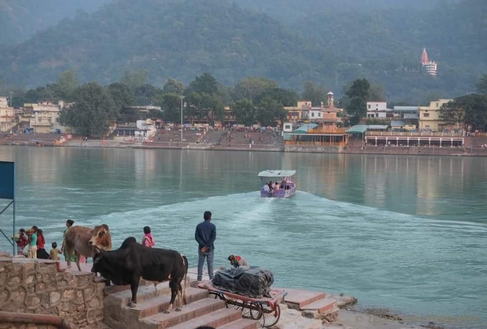 Uttarakhand News: Delhi Pollution decreased tourist Crowd in rishikesh Photos
