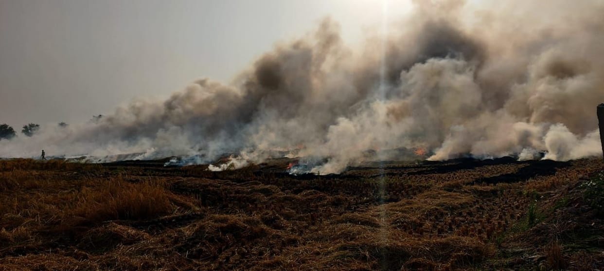 Poison in the air: Stubble burnt at 21 places in the district in 24 hours, AQI 395