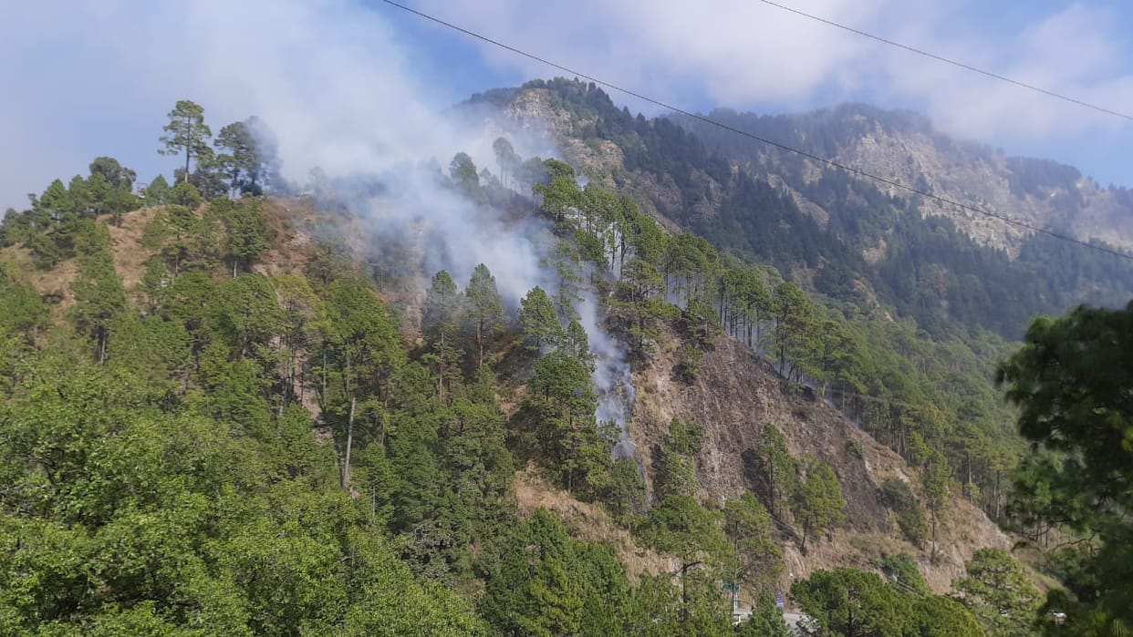 Chaotic elements set fire to the forest of Manora range