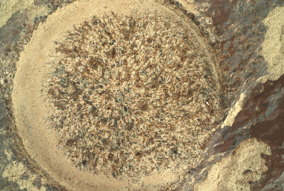 nasa mars rover sends photos of red planet looks like Aliens Cemetery after see photo peoples shocked