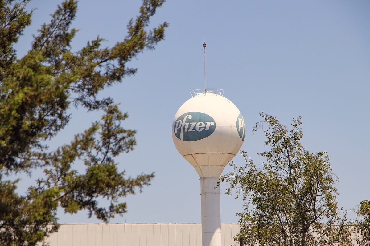 Pfizer agrees to let other companies make its COVID19 pill news in Hindi