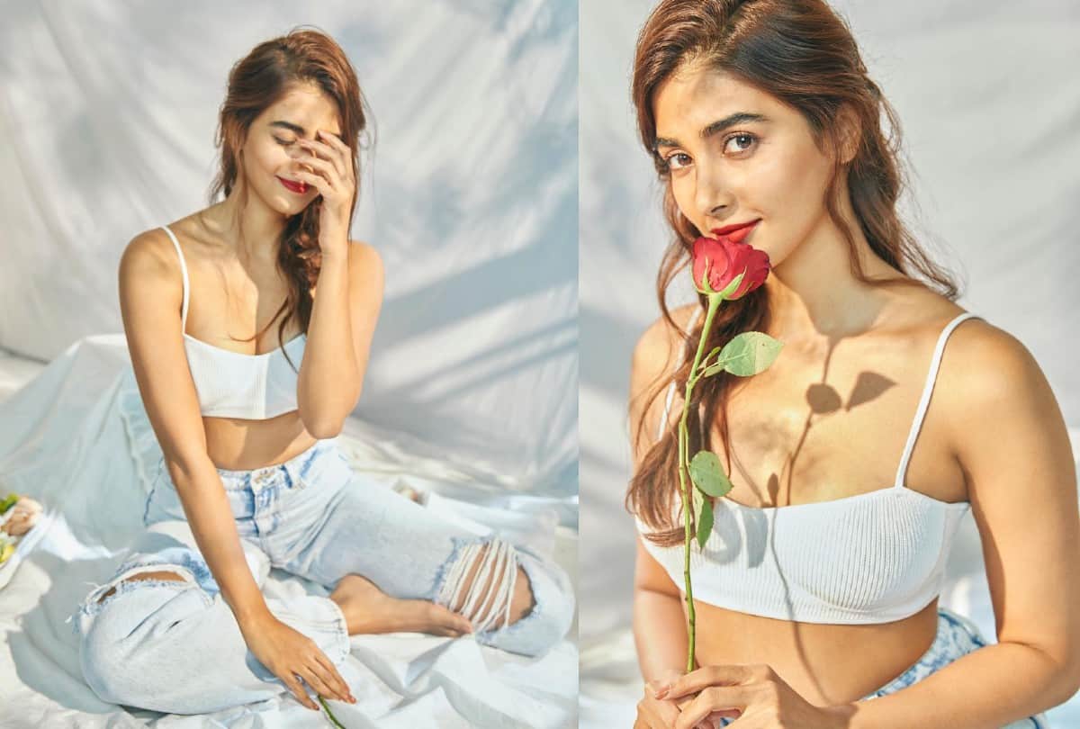 pooja hedge five bold look in revealing dresses photos