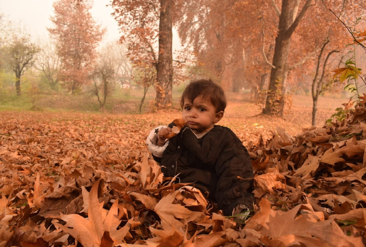 Minus 1.2 in Srinagar, minus 8.6 degree in Leh, freezing cold in Jammu division