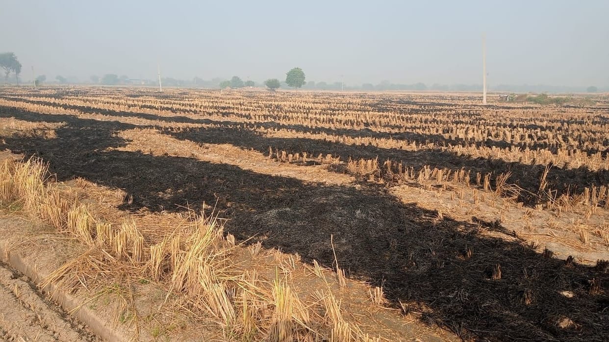 Five farmers fined for burning residue