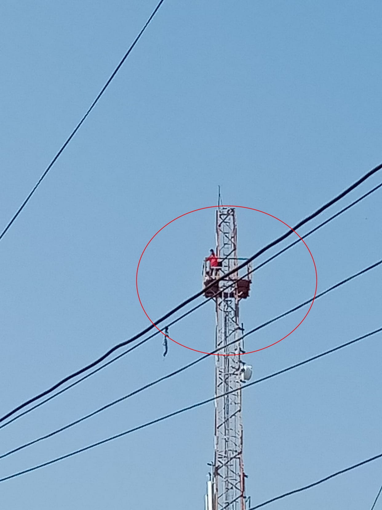 Dehradun News: Dav college Students climbed on Mobile Tower for demand to do union election