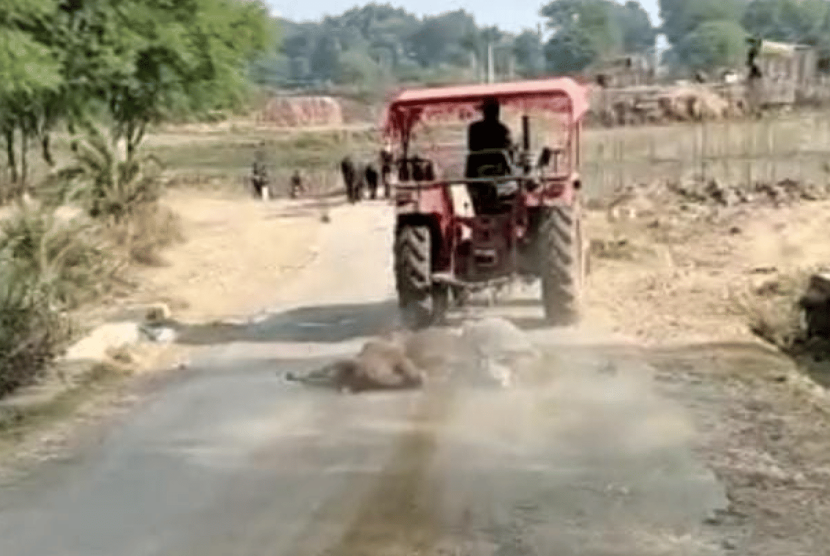 Inhumanity in Guna: The staff of the municipality dragged the dead three on the road