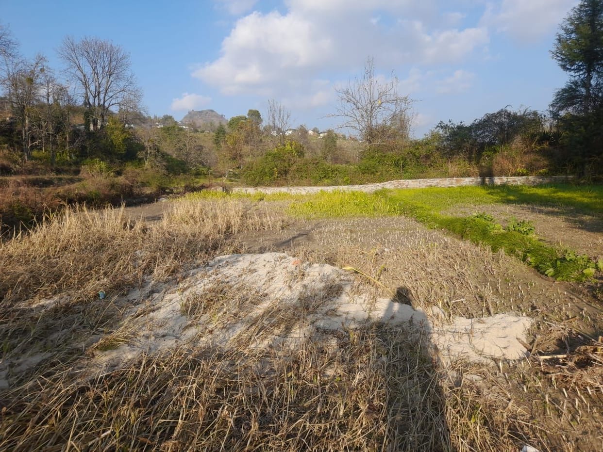 Crop Damage in Lohaghat