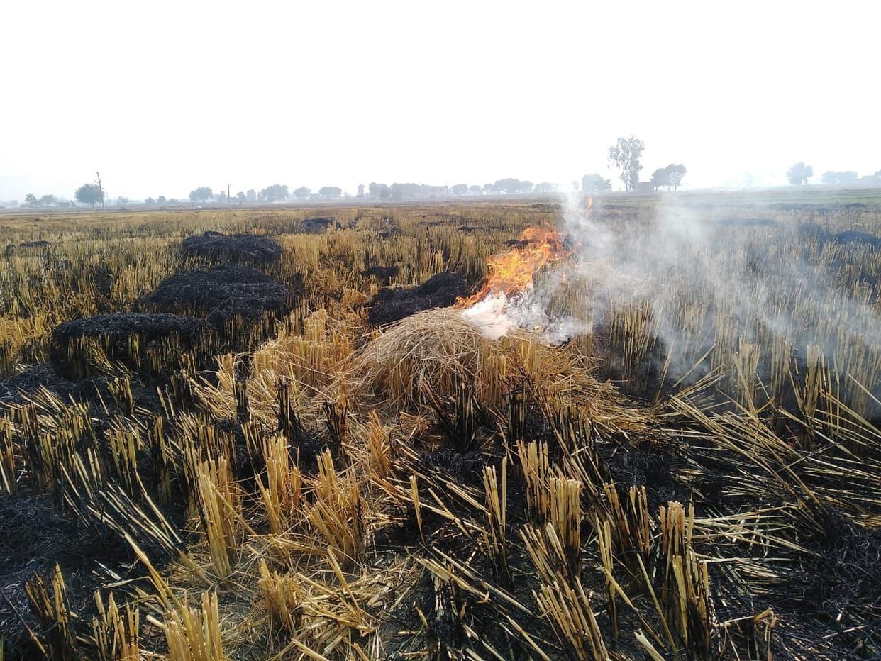 223 farmers fined 5.75 lakh for burning stubble, AQI 227
